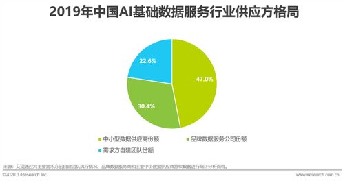 2020年中國AI基礎數據服務行業發展報告 數據處理服務的增長路徑